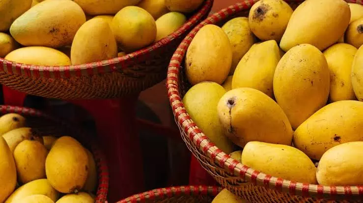 Variety Of Mango In India