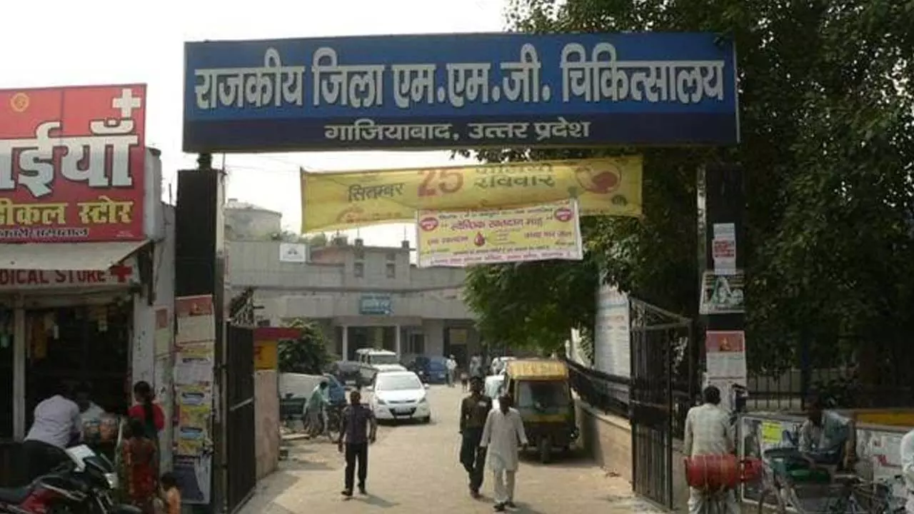 The number of dog bite patients increased in the government hospitals of Ghaziabad, afraid of the possibility of rabies