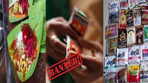 Telangana government bans pan masala and gutkha