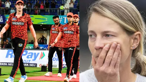 IPL 2024 KKR vs SRH Pat Cummins Meg Lanning IPL 2024 KKR vs SRH Pat Cummins Meg Lanning