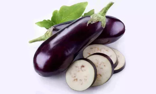 Do Not Eat Brinjal In Nautapa