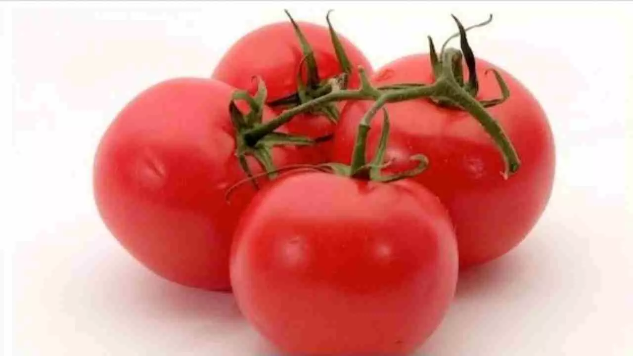 Benefits Of Tomato