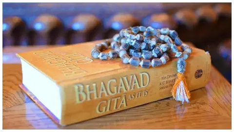 Bhagavad Gita ( Social Media Photo) Bhagavad Gita ( Social Media Photo)
