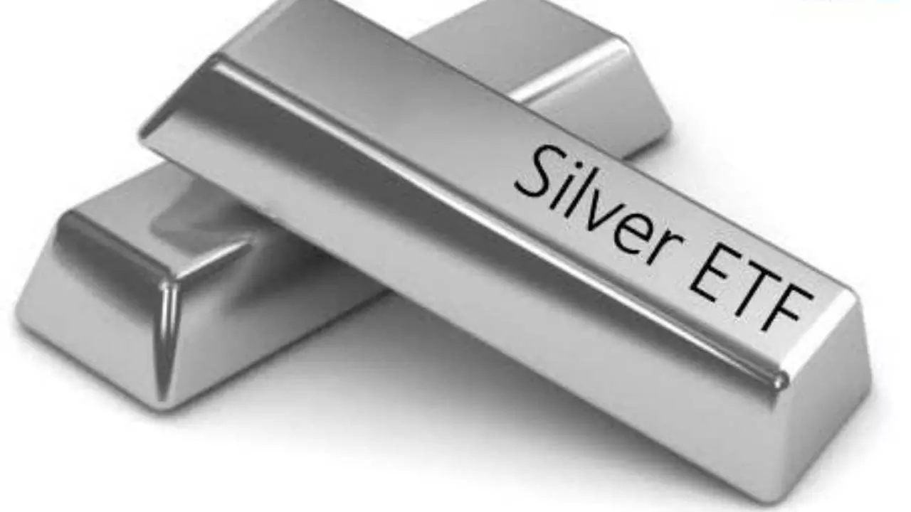 Those who invested in Silver ETF made a fortune, earned more than 28 percent in a year