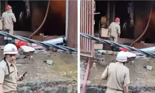 Delhi News, Narela Food Factory Fire