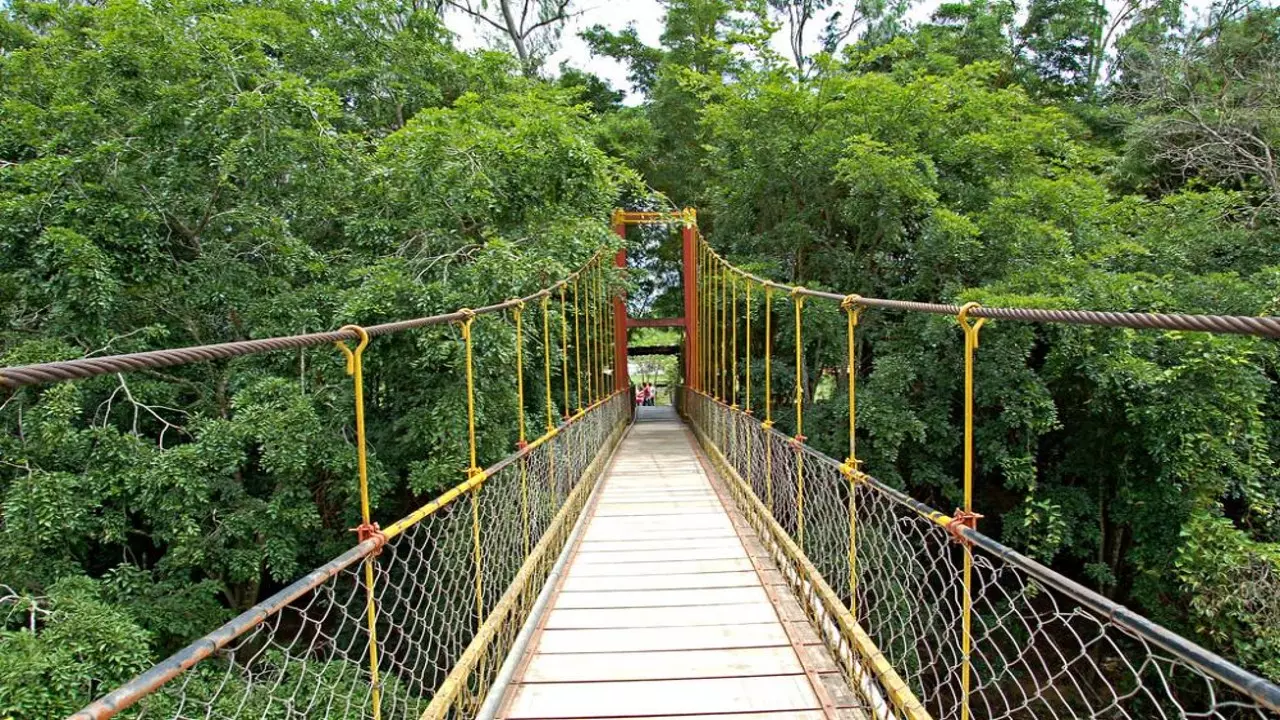 Nisargadhama Forest Park: दिल जीत लेगा कूर्ग का निसर्गधामा बर्ड पार्क, जानिए इसकी डिटेल्स