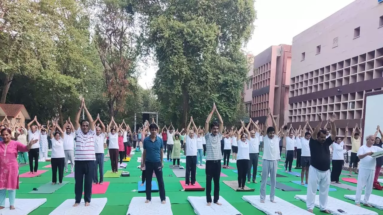 Take a pledge to do yoga daily from June 12 to June 18