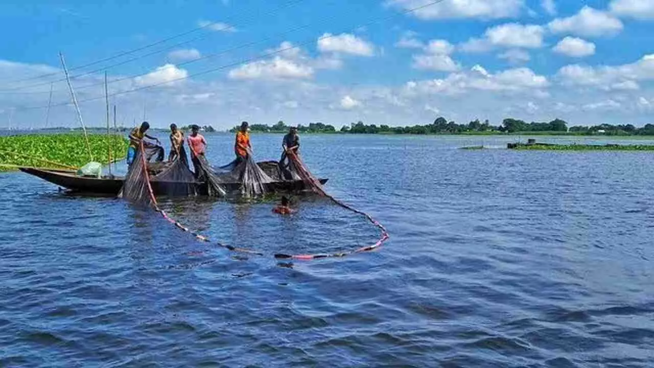 fish farming scheme