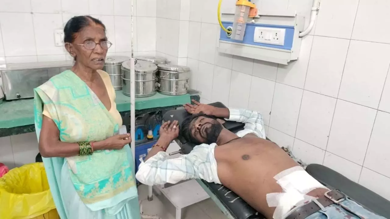 Mother-in-law stabbed son-in-law in the stomach