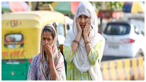 सांकेतिक फोटो।