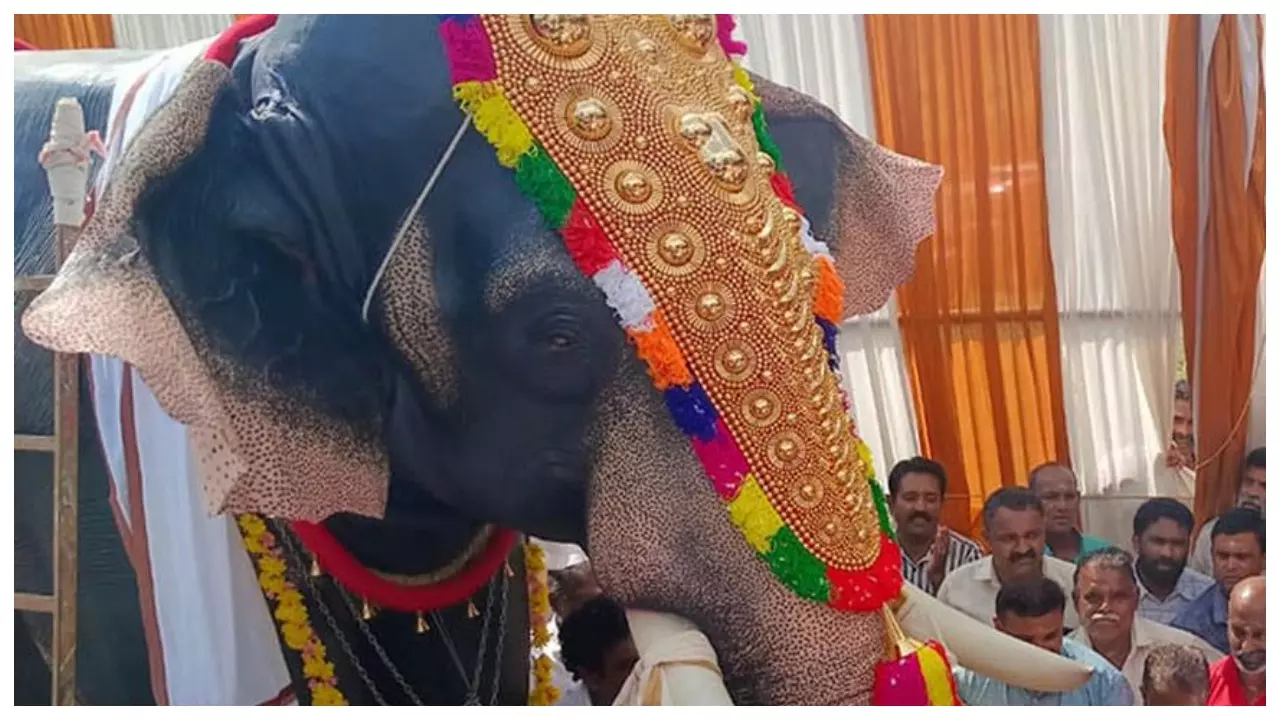 Mechanical Elephant Kerala Temple