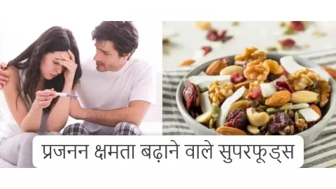 Fertility Superfoods: ये सुपरफूड बढ़ाते हैं प्रजनन क्षमता, नहीं होंगी बांझपन का शिकार Fertility Superfoods: ये सुपरफूड बढ़ाते हैं प्रजनन क्षमता, नहीं होंगी बांझपन का शिकार