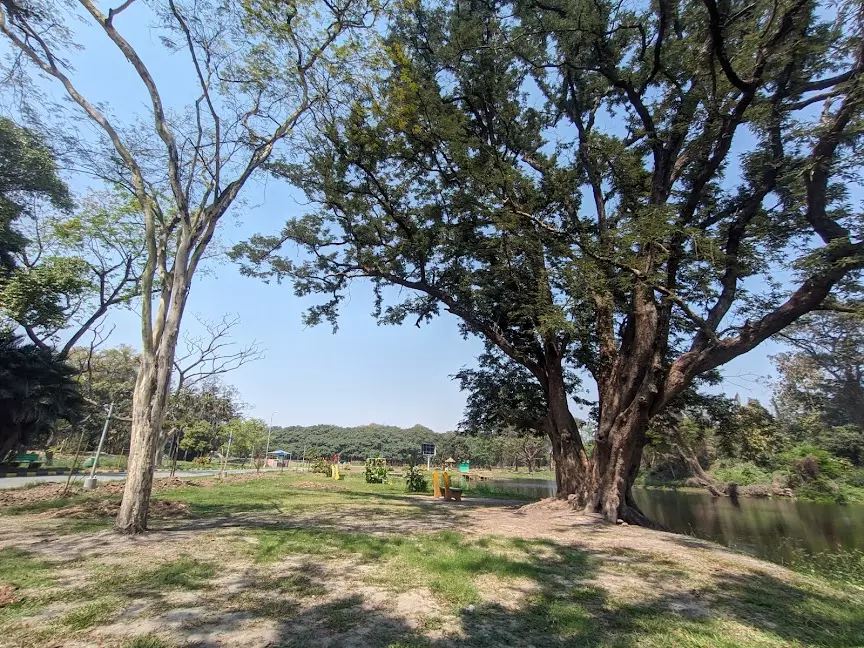 Great Banyan Tree: भारत में इस पेड़ की कहानी है जरा हटकर, गिनीज वर्ल्ड रिकॉर्ड्स में भी है शामिल