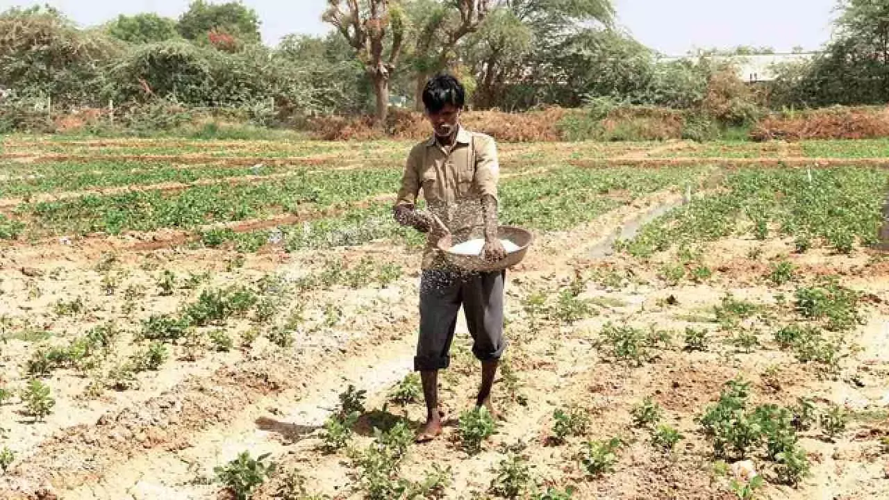 Agri Infra Fund in India