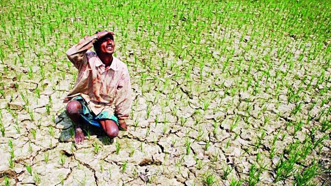 Drought situation in Sonbhadra, worst situation in 14 years