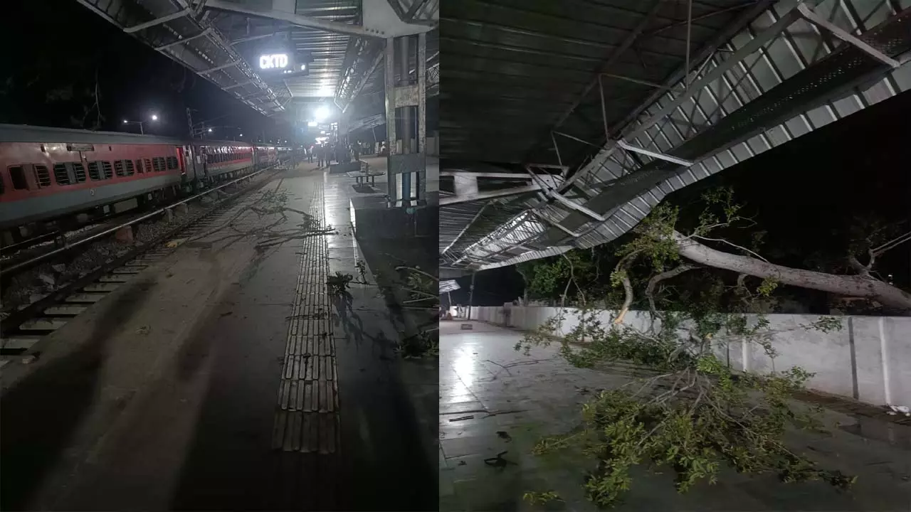 Tree fell on the shed of Chitrakoot station, woman