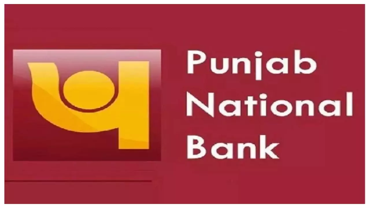 PNB Apprenticeship Vacancy 2024