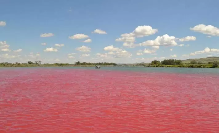 Red Water River In India