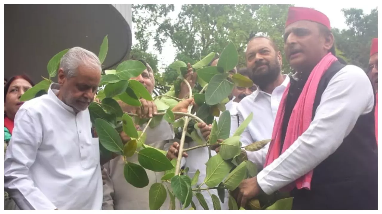 पार्टी मुख्यालय में पेड़ लगाते अखिलेश यादव।