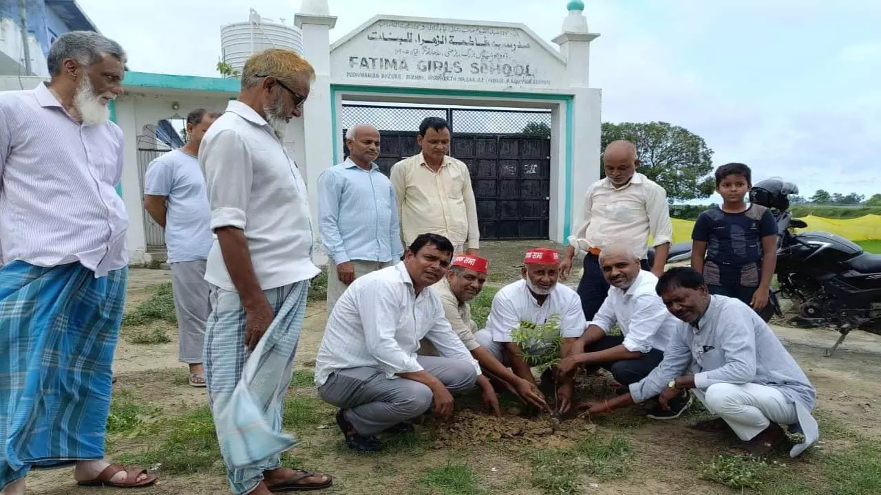 PDA tree tree plantation campaign successfully completed, SPs work brought to the public