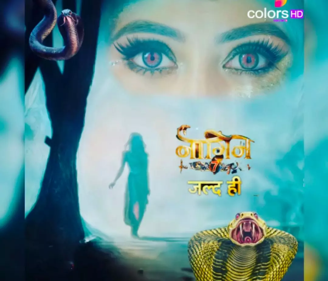 Naagin 7 Update | Naagin 7 Release Date | Naagin 7 Cast | Naagin 7 ...