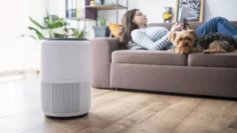 Best Air Purifier Best Air Purifier
