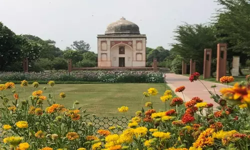 Interesting Details About Sunder Nursery Delhi