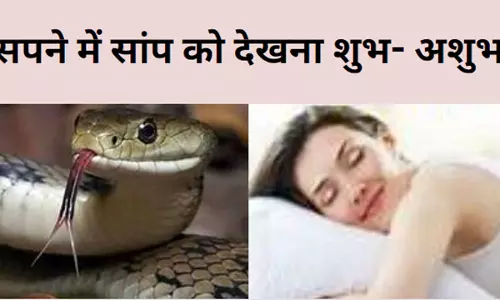 Swapna Shastra: सपने में सांप कब देता है मौत और कब सौभाग्य का संकेत, जानिए सांप से जुड़े हर ख्वाब का मतलब