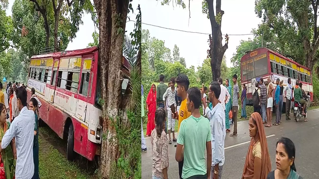 Government bus collided with a tree due to negligence of roadways driver, 12 passengers including two children injured