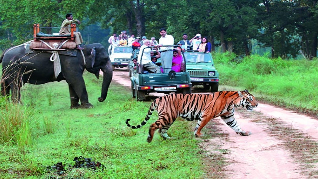 National Parks to visit in Monsoon