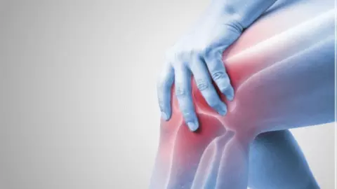 Jodo Ka Dard: जोड़ों के दर्द में बहुत असरदार है ये पत्ता, बस इस तरह करें इस्तेमाल