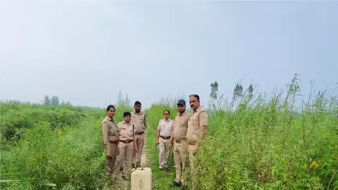 Hapur News