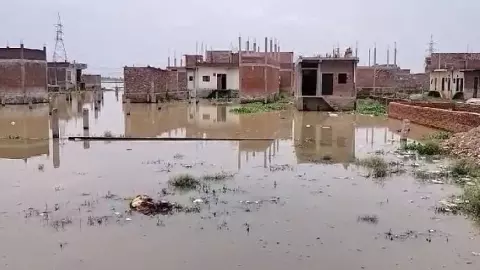 Unnao News