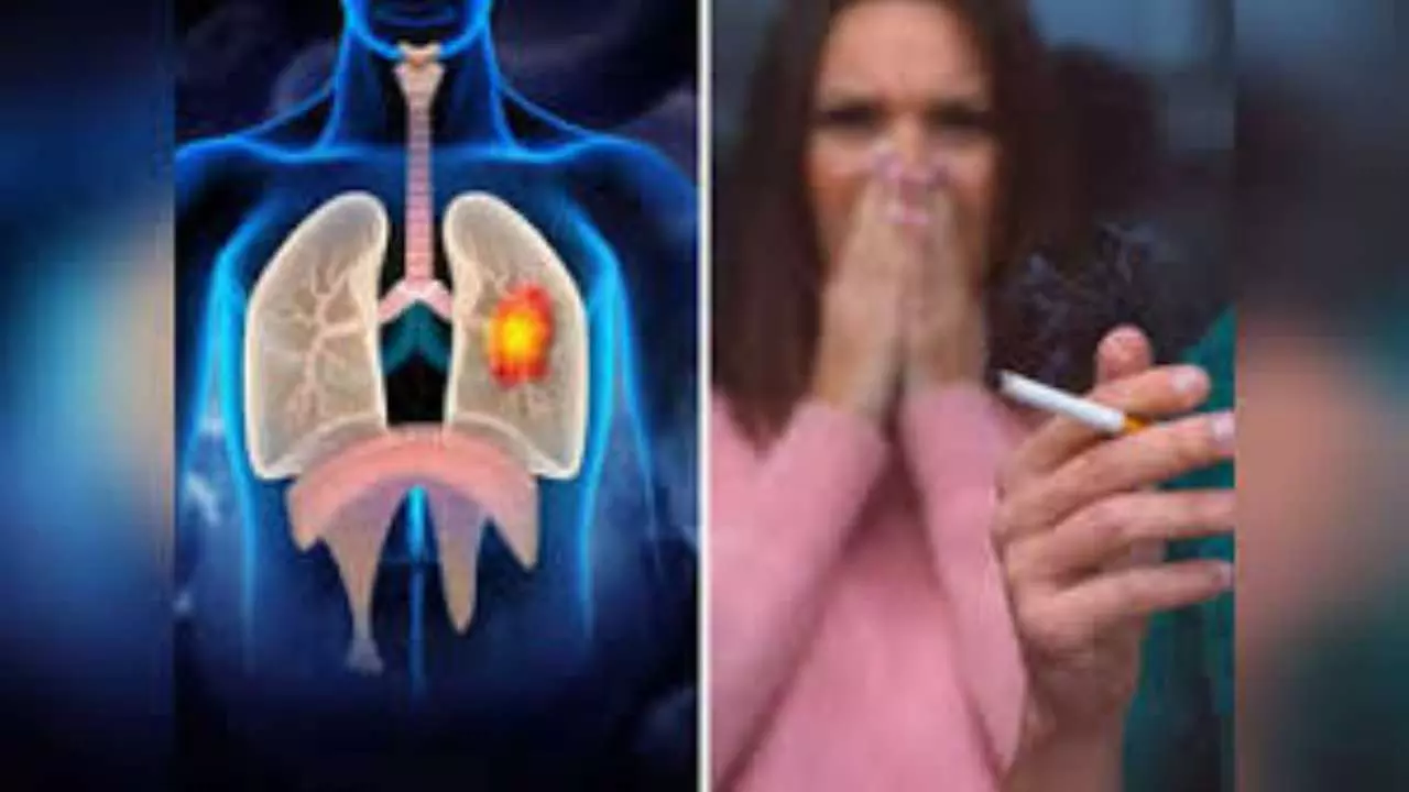 Smoking Harmful Effects On Body