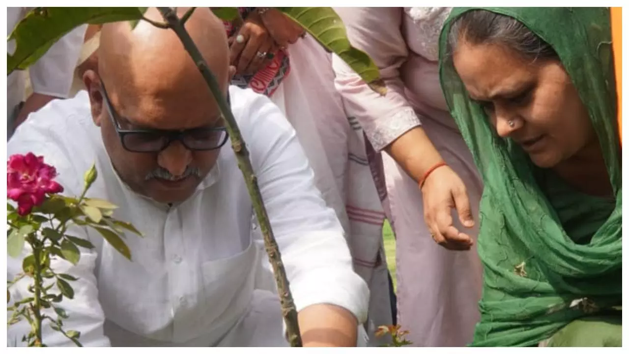 Lucknow News: अजय राय ने लगाए पेड़, बोले- संरक्षण की जिम्मेदारी भी हमारी