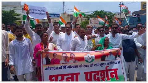 Sultanpur News : गायों की दुर्दशा  और आवारा पशुओं की समस्या को लेकर कांग्रेसियों ने किया विरोध प्रदर्शन