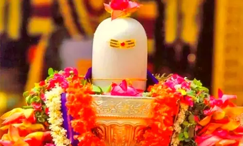 sawan student tips स्टूडेंट्स, सावन माह में भगवान शिव को चढ़ाएं ये 6 फूल, परीक्षा और करियर में जरूर मिलेगी सफलता