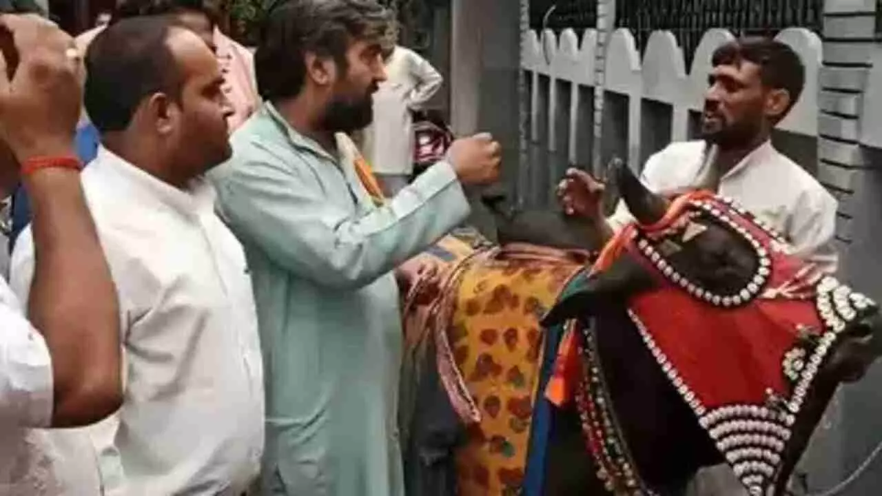Muslim fake Jogi sadhu