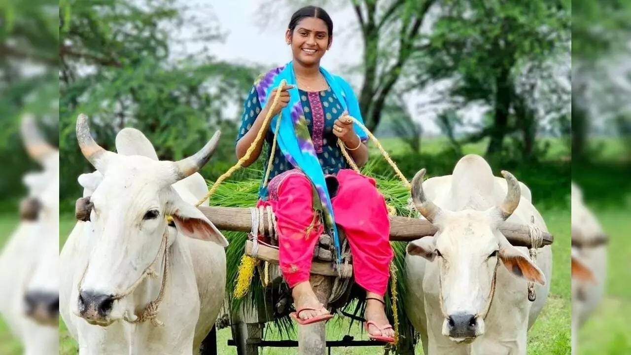 Shivani Kumari YouTube Income: पापा-भाई के बिना शिवानी ने अकेले उठाया परिवार का खर्चा, यूट्यूब से कमा रहीं लाखों