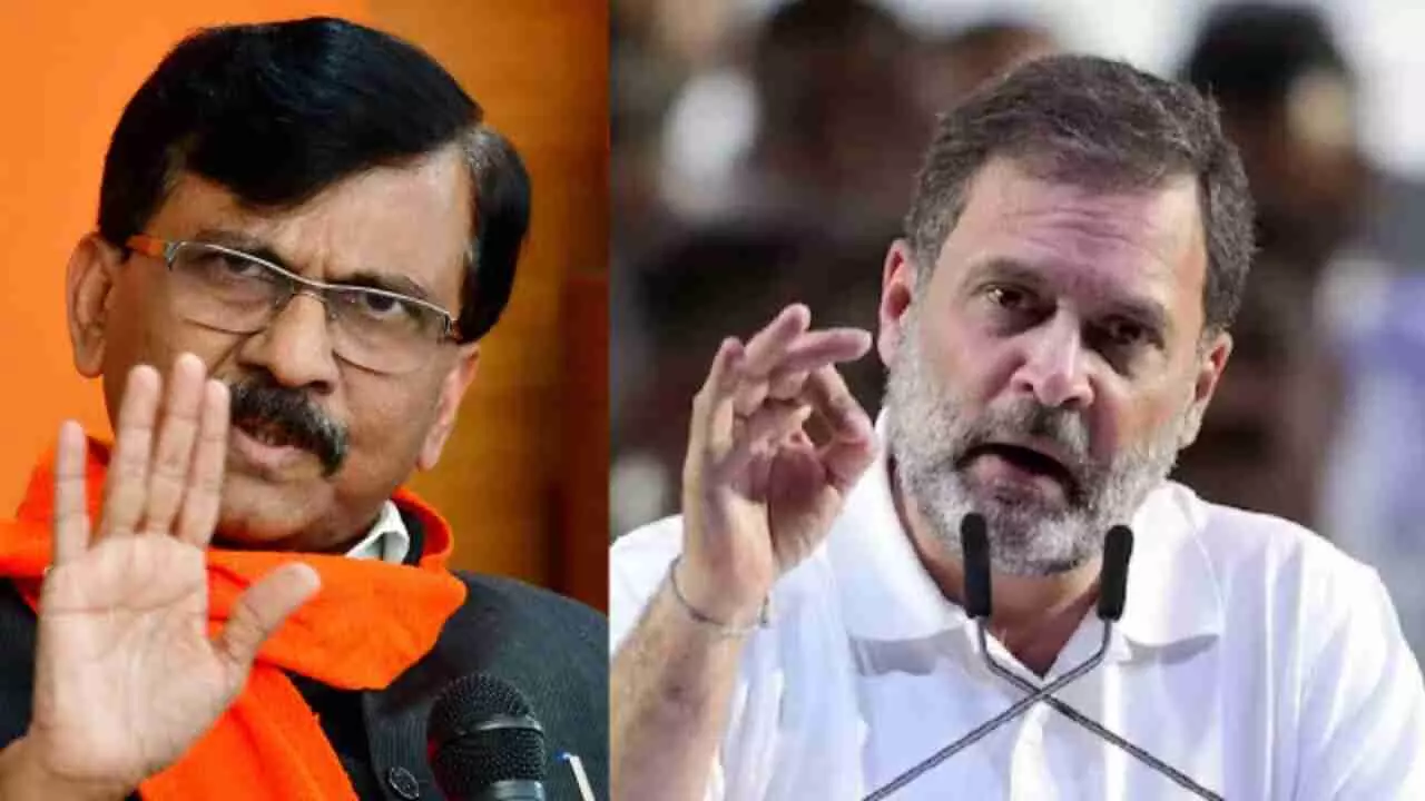 Sanjay Raut, Rahul Gandhi