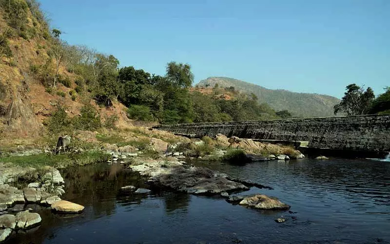 Polo Forest Gujarat