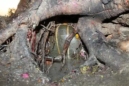 Rishikesh Famous Shiv Temple, Pipaleshwar Mahadev