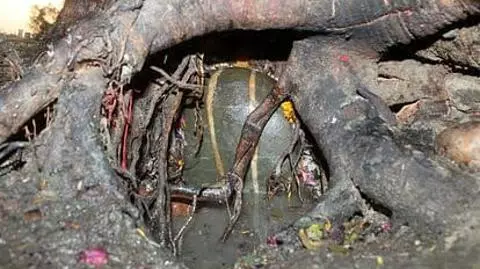 Rishikesh Famous Shiv Temple, Pipaleshwar Mahadev Rishikesh Famous Shiv Temple, Pipaleshwar Mahadev