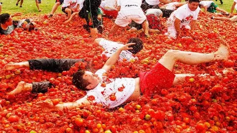 La Tomatina Festival La Tomatina Festival