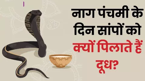 Nag Panchami 2024: नाग पंचमी पर नाग देवता को क्यों चढ़ाया जाता है दूध, जानिए क्या है मान्यता Nag Panchami 2024: नाग पंचमी पर नाग देवता को क्यों चढ़ाया जाता है दूध, जानिए क्या है मान्यता