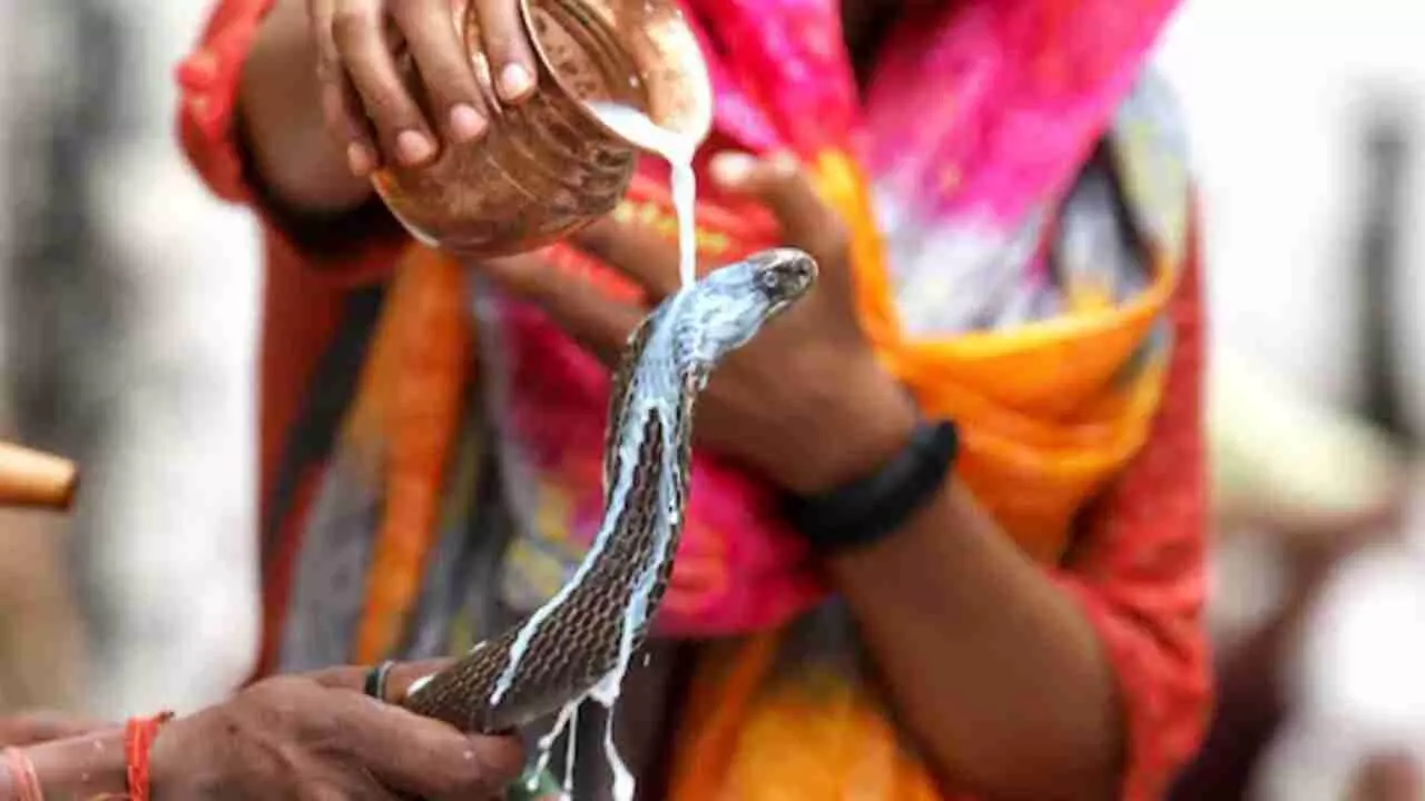 Nag Panchami 2024