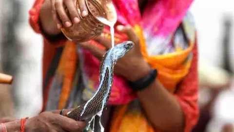 Nag Panchami 2024 Nag Panchami 2024