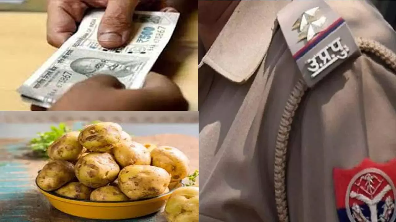 Policeman gives five kilos of potatoes for five thousand rupees of Bribe codeword