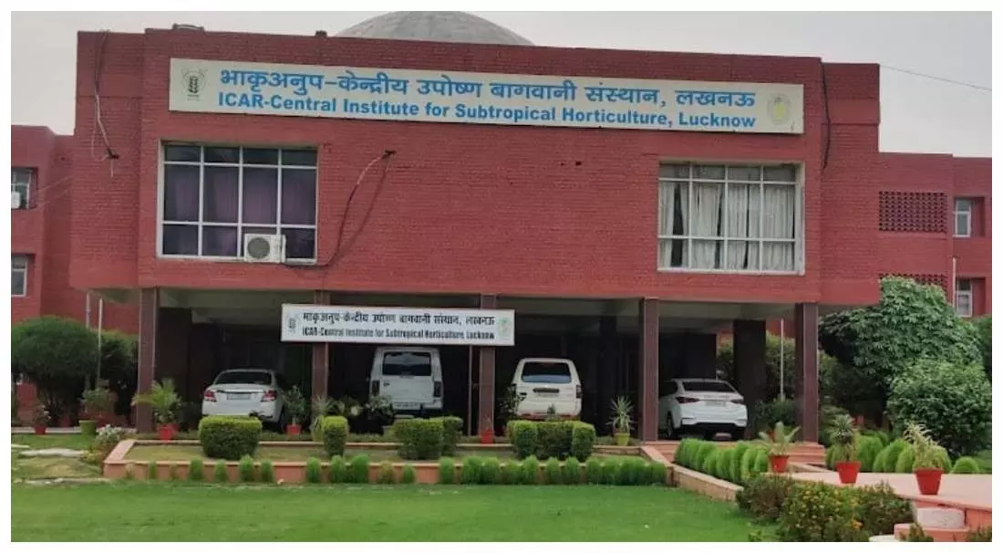 Lucknow News: ICAR-CISH द्वारा विकसित आम व अमरूद की प्रजातियां जारी, जलवायु के अनुकूल आम की समृद्ध किस्में