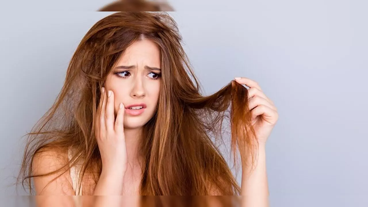 Dry Hair Home Remedies: रेशम जैसे सिल्की और मुलायम दिखेंगे बाल, आजमाएं ये घरेलू उपाय